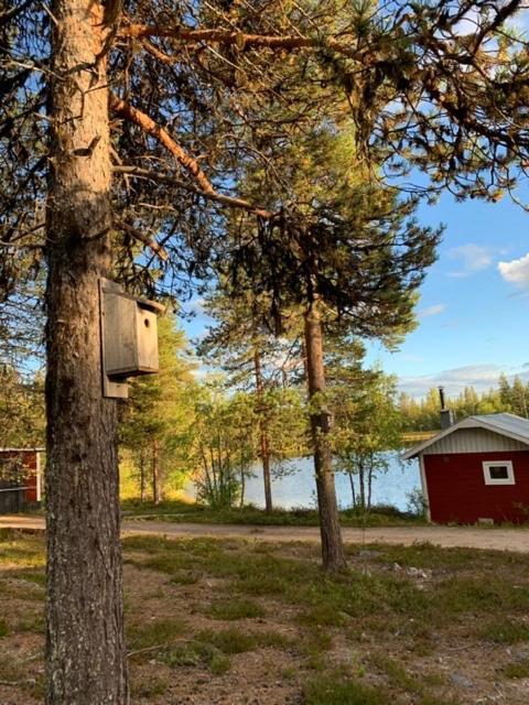 Off-Grid Cabin In Nattavaara Lapland Luaran gambar