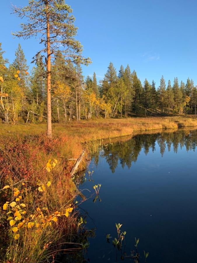 Off-Grid Cabin In Nattavaara Lapland Luaran gambar