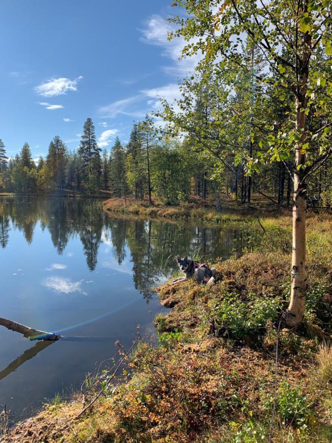 Off-Grid Cabin In Nattavaara Lapland Luaran gambar