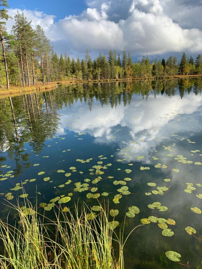 Off-Grid Cabin In Nattavaara Lapland Luaran gambar