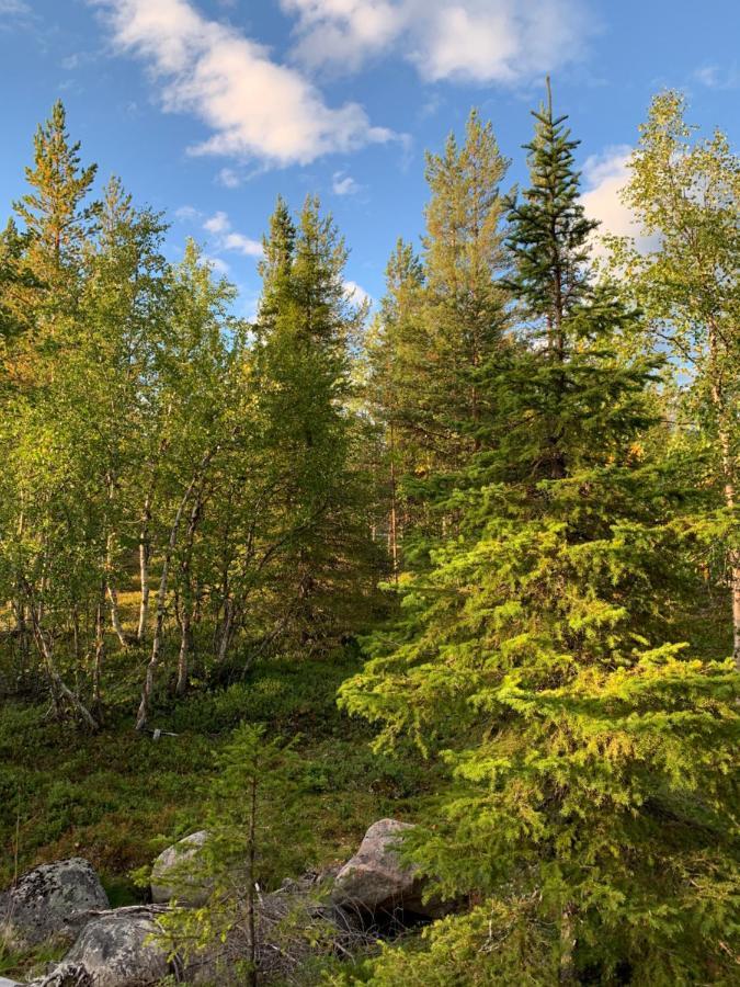 Off-Grid Cabin In Nattavaara Lapland Luaran gambar