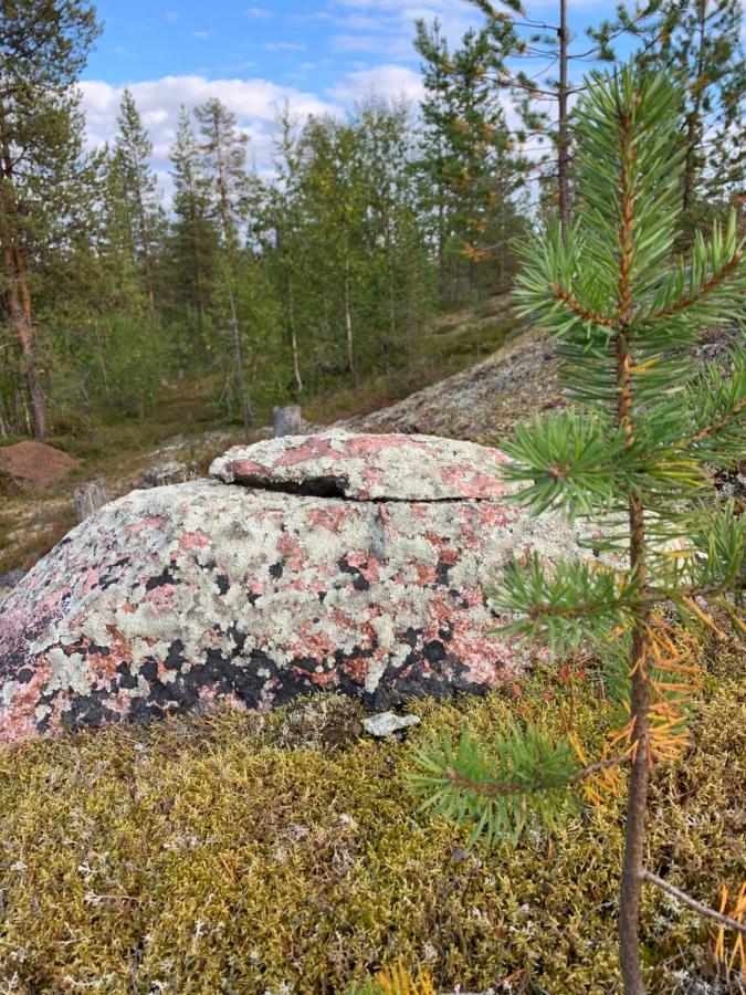 Off-Grid Cabin In Nattavaara Lapland Luaran gambar