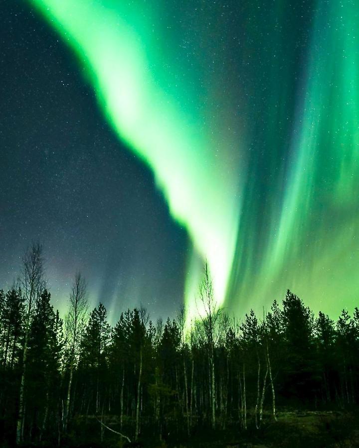 Off-Grid Cabin In Nattavaara Lapland Luaran gambar