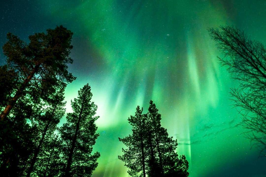 Off-Grid Cabin In Nattavaara Lapland Luaran gambar